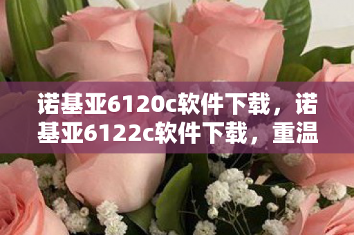 诺基亚6120c软件下载，诺基亚6122c软件下载，重温经典，探索无限可能