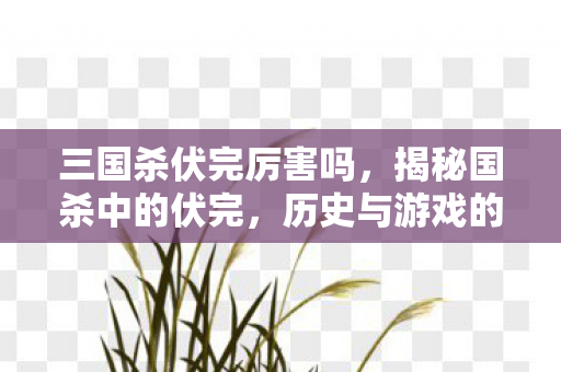三国杀伏完厉害吗,揭秘国杀中的伏完,历史与游戏的交织 三国杀伏完厉害吗,揭秘国杀中的伏完,历史与游戏的交织