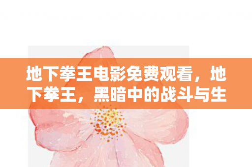 地下拳王电影免费观看图片