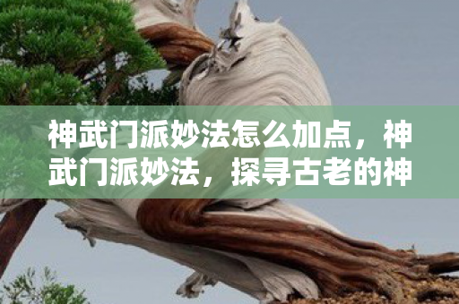 神武门派妙法怎么加点，神武门派妙法，探寻古老的神秘力量之源