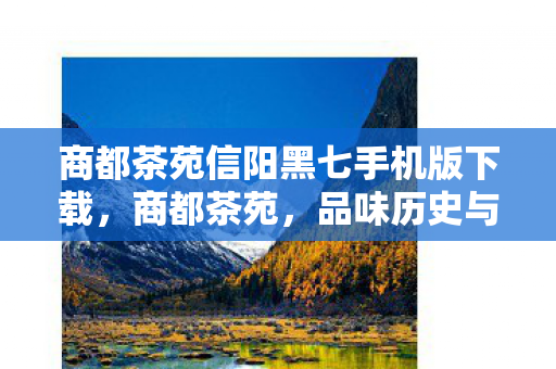商都茶苑信阳黑七手机版下载图片