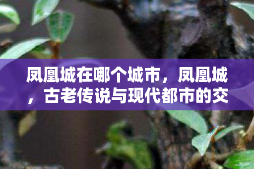 古老传说与现代都市的交响曲图片