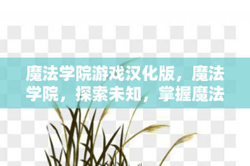 魔法学院游戏汉化版图片
