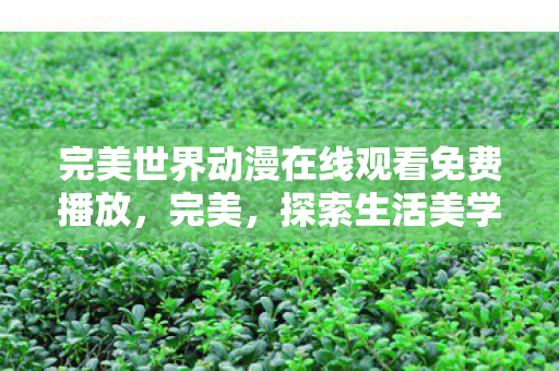 完美世界动漫在线观看免费播放图片