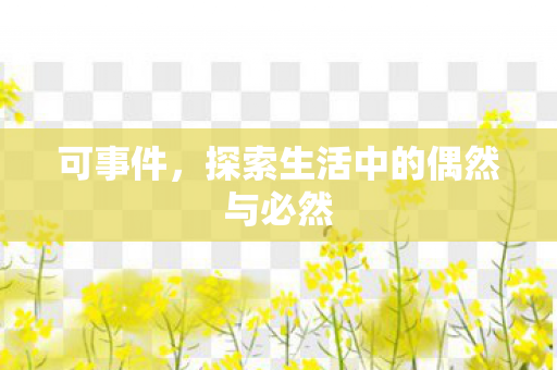 探索生活中的偶然与必然图片