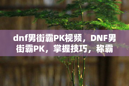 dnf男街霸PK视频图片