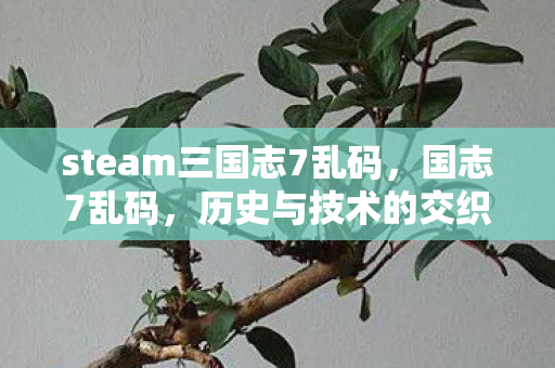 steam三国志7乱码图片
