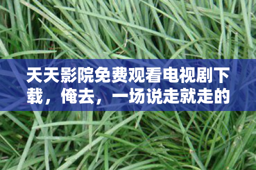 天天影院免费观看电视剧下载图片