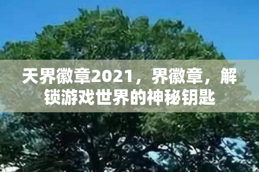 解锁游戏世界的神秘钥匙图片