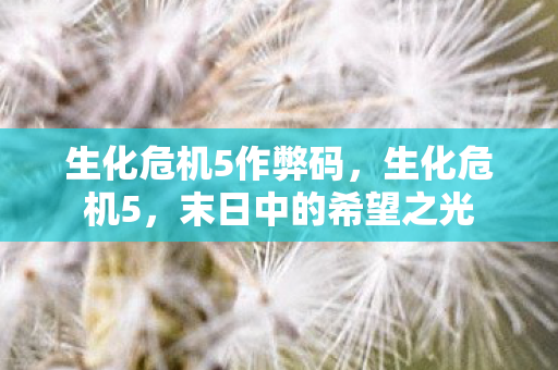 生化危机5作弊码图片