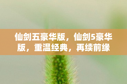 仙剑五豪华版图片