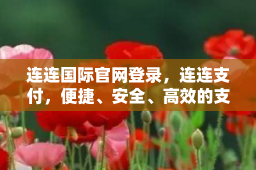 高效的支付解决方案图片