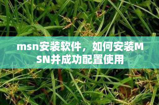 如何安装MSN并成功配置使用图片