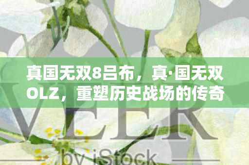 重塑历史战场的传奇图片