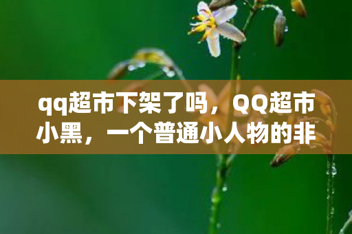 一个普通小人物的非凡故事图片