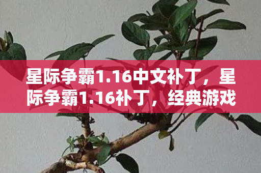 经典游戏的重生与革新图片