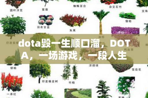 dota毁一生顺口溜图片