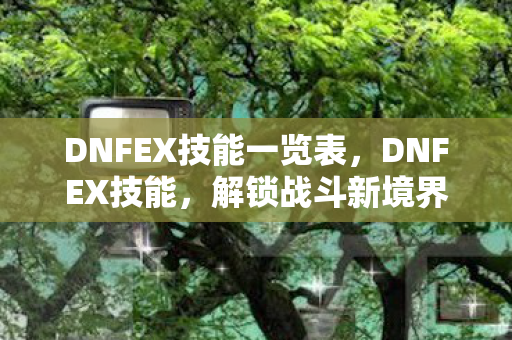 DNFEX技能一览表图片