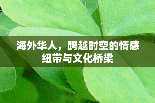 跨越时空的情感纽带与文化桥梁图片