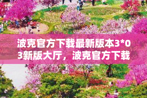 波克官方下载最新版本3图片