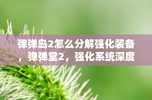 弹弹岛2怎么分解强化装备图片