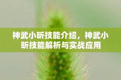 神武小昕技能介绍，神武小昕技能解析与实战应用