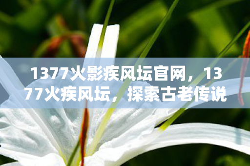 1377火影疾风坛官网图片