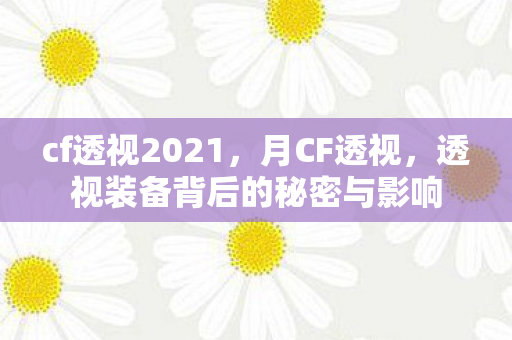 透视装备背后的秘密与影响图片