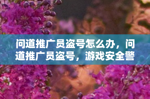 问道推广员盗号怎么办图片