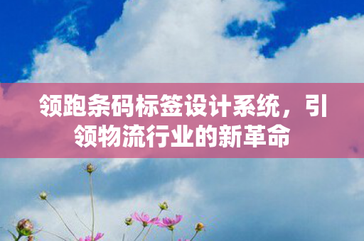 领跑条码标签设计系统,引领物流行业的新革命 领跑条码标签设计系统,引领物流行业的新革命