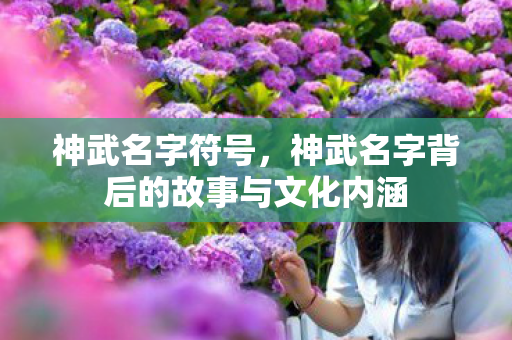 神武名字符号，神武名字背后的故事与文化内涵