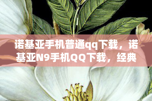 诺基亚手机普通qq下载图片