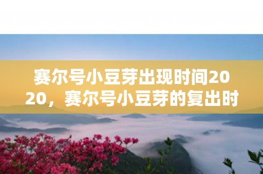 赛尔号小豆芽出现时间2020,赛尔号小豆芽的复出时间预测 赛尔号小豆芽出现时间2020,赛尔号小豆芽的复出时间预测