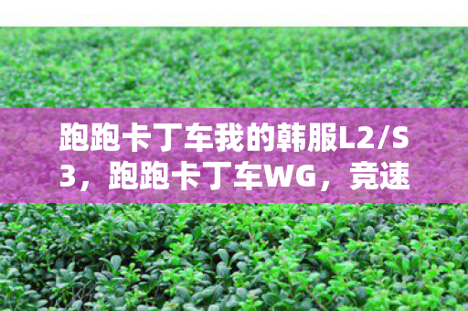 跑跑卡丁车我的韩服L2图片