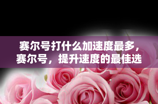 赛尔号打什么加速度最多图片