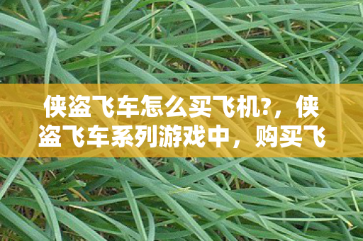 侠盗飞车怎么买飞机?,侠盗飞车系列游戏中,购买飞机通常涉及特定的游戏版本和剧情阶段。以下是在侠盗飞车,罪恶都市和侠盗猎车手5(GTA5)中购买飞机的方法 侠盗飞车怎么买飞机?,侠盗飞车系列游戏中,购买飞机通常涉及特定的游戏版本和剧情阶段。以下是在侠盗飞车,罪恶都市和侠盗猎车手5(GTA5)中购买飞机的方法