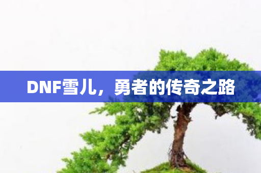 DNF雪儿，勇者的传奇之路