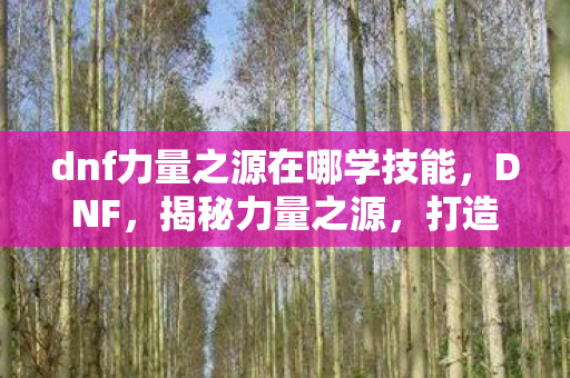 dnf力量之源在哪学技能图片
