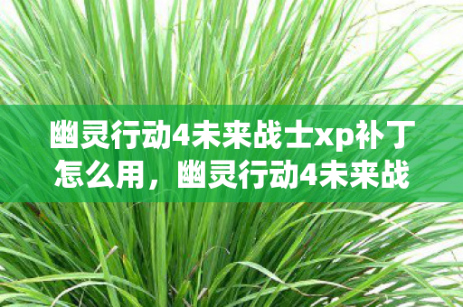 幽灵行动4未来战士xp补丁怎么用图片