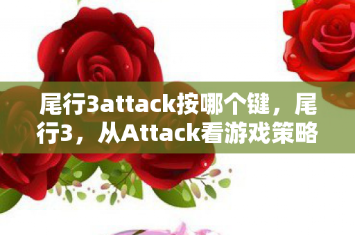 从Attack看游戏策略与玩家心理图片
