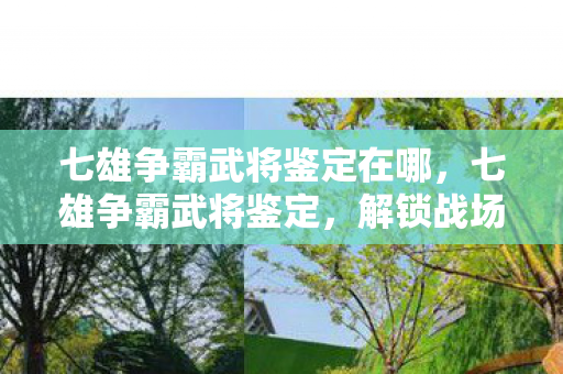 七雄争霸武将鉴定在哪图片