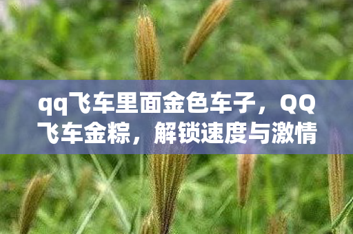 解锁速度与激情的端午新玩法图片