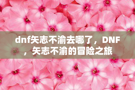 dnf矢志不渝去哪了图片