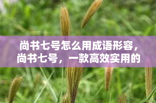 一款高效实用的文档处理工具图片