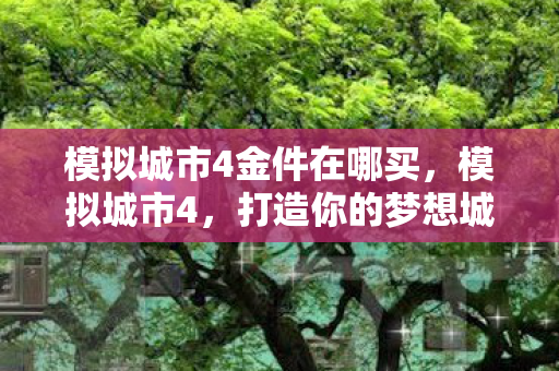 模拟城市4金件在哪买图片