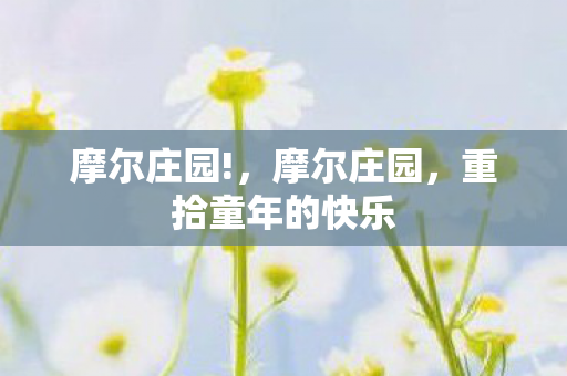 重拾童年的快乐图片