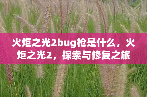 火炬之光2bug枪是什么图片