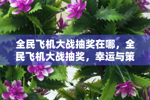 全民飞机大战抽奖在哪图片