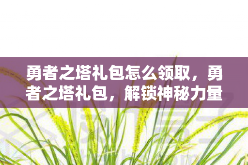 勇者之塔礼包怎么领取图片