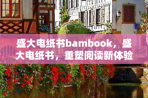 盛大电纸书bambook图片